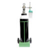 Oxygen Tan comes with trolley and oxygen regulator